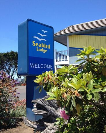 Imagen general del Hotel Seabird Lodge. Foto 4