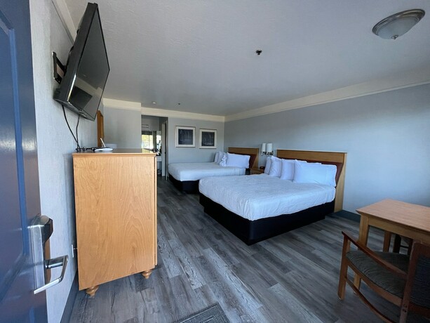 Imagen de la habitación del Hotel Seabird Lodge. Foto 11