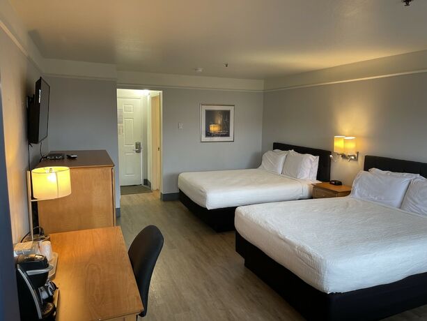 Imagen de la habitación del Hotel Seabird Lodge. Foto 12