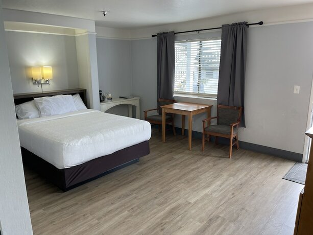 Imagen de la habitación del Hotel Seabird Lodge. Foto 13