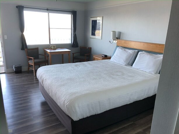 Imagen de la habitación del Hotel Seabird Lodge. Foto 18