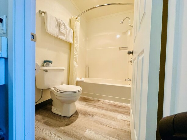 Imagen de la habitación del Hotel Seabird Lodge. Foto 19