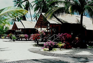 Imagen general del Hotel Seafan Beach Resort. Foto 2