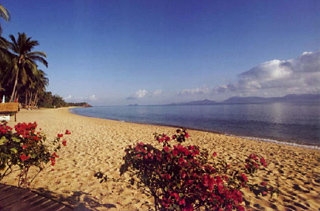 Imagen de los exteriores del Hotel Seafan Beach Resort. Foto 5