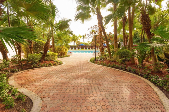 Imagen de la piscina del Hotel Seagull Hotel Miami Beach. Foto 14