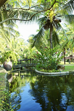Imagen de los exteriores del Hotel Seahorse Resort and Spa. Foto 15