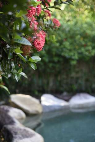 Imagen de la piscina del Hotel Sealords. Foto 19