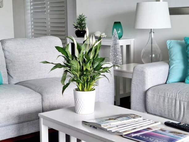 Imagen general del Hotel Sealuxe Central Surfer Paradise Spacious Deluxe Ocean View King Spa Apartment. Foto 16