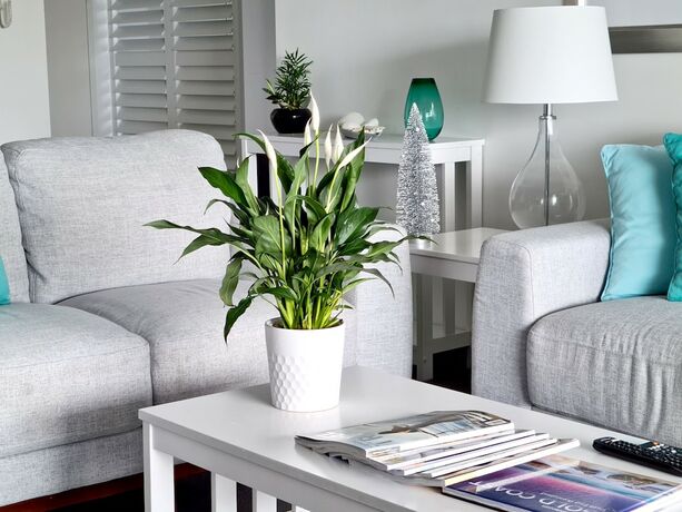 Imagen de la habitación del Hotel Sealuxe Central Surfer Paradise Spacious Deluxe Ocean View King Spa Apartment. Foto 23