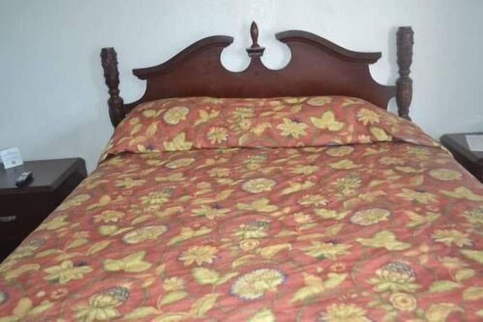 Imagen de la habitación del Hotel Searle Motel. Foto 17