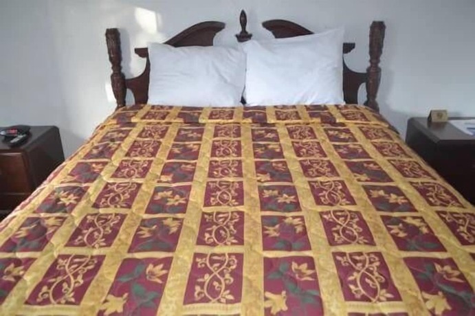 Imagen de la habitación del Hotel Searle Motel. Foto 18