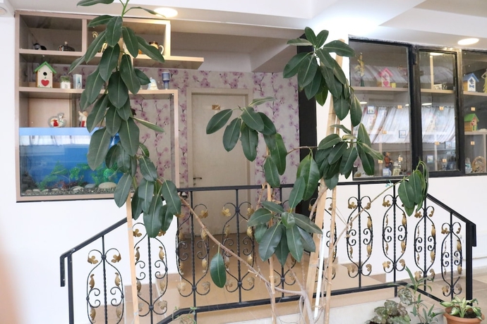 Imagen de los interiores del Hotel Seashell. Foto 16