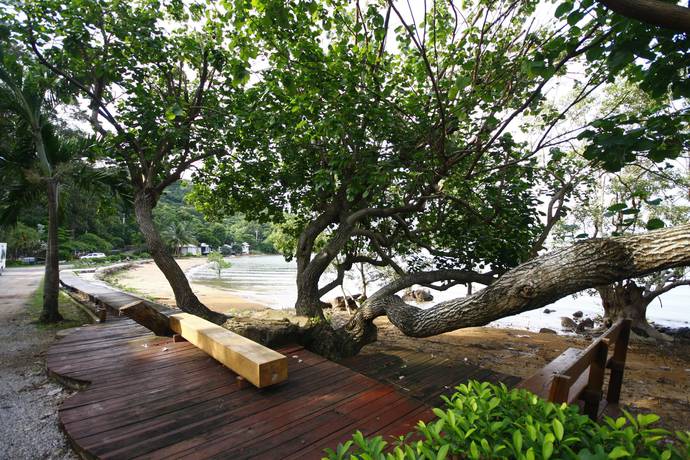 Imagen de los exteriores del Hotel Seashell Village Resort. Foto 19