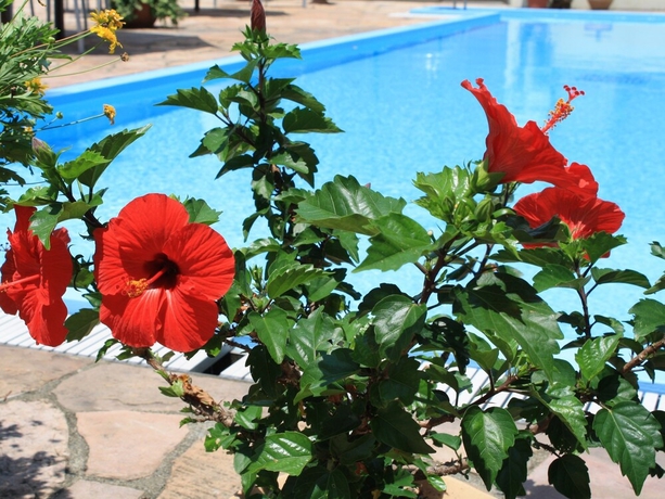 Imagen de la piscina del Hotel Seaside Geibouso. Foto 19