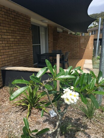 Imagen de los exteriores del Hotel Seaside Holiday Resort Fingal Bay. Foto 32