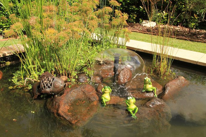 Imagen de los exteriores del Hotel Seasons of Maleny B&B. Foto 19