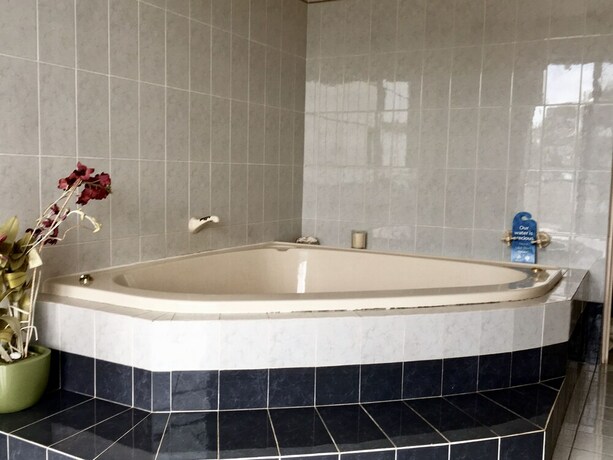 Imagen de la habitación del Hotel Seaview Bed and Breakfast. Foto 20