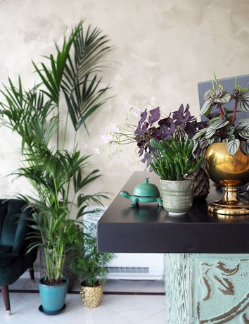 Imagen de los interiores del Hotel Sebel. Foto 16