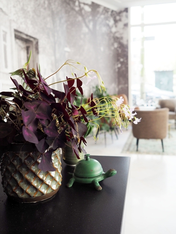 Imagen de los interiores del Hotel Sebel. Foto 17