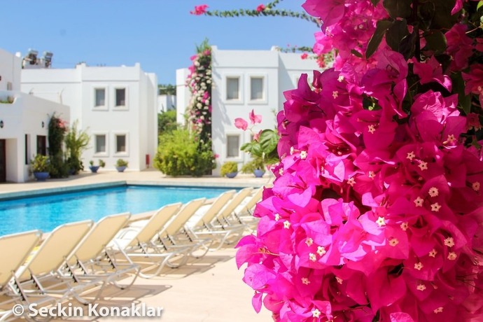 Imagen de la piscina del Hotel Seckin Konaklar. Foto 19