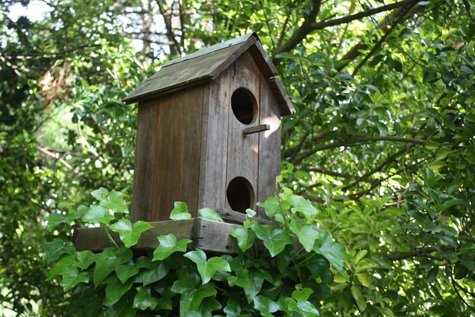 Imagen de los exteriores del Hotel Secrets Hideaway. Foto 16