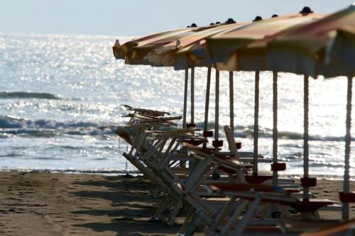 Imagen general del Hotel Sedonia, Cervia. Foto 5