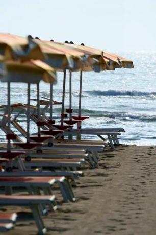 Imagen general del Hotel Sedonia, Cervia. Foto 6