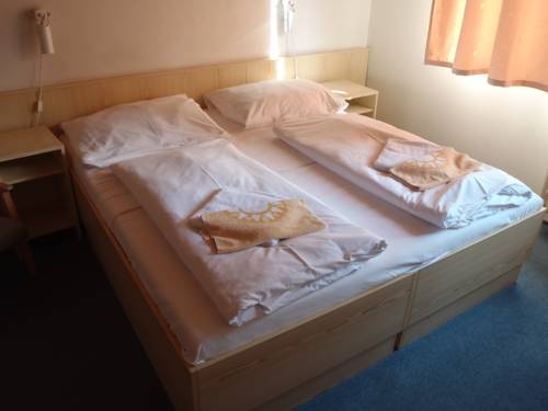 Imagen de la habitación del Hotel Sedy Vlk. Foto 2