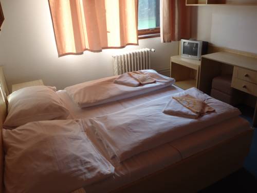 Imagen de la habitación del Hotel Sedy Vlk. Foto 9