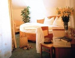 Imagen de la habitación del Hotel Seeboeckenhotel Zum Weissen Hirschen. Foto 24