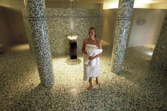 Imagen de la piscina del Hotel Seedamm Plaza. Foto 16