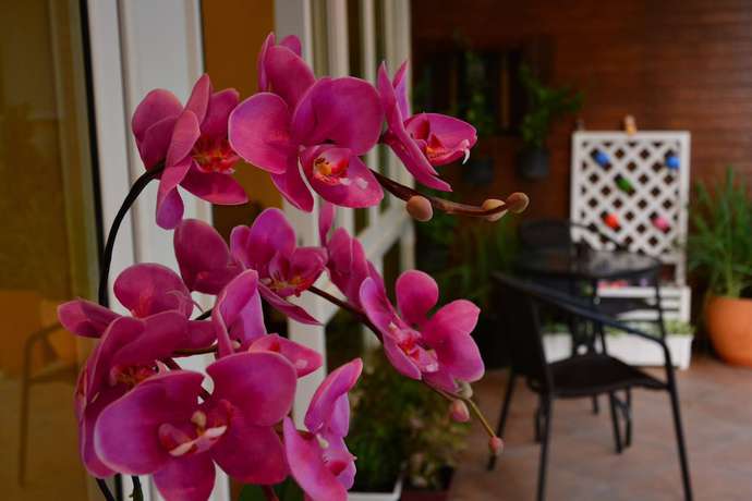 Imagen de la habitación del Hotel Seedling House. Foto 5