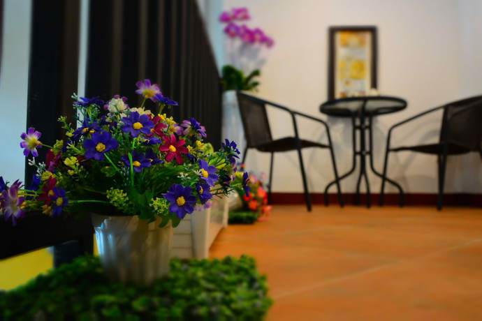 Imagen de los interiores del Hotel Seedling House. Foto 20