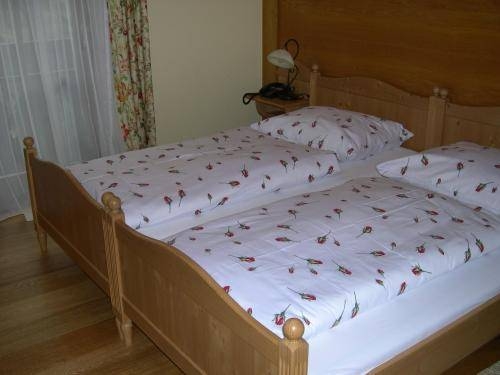 Imagen general del Hotel Seegasthof Gamsjaga. Foto 6