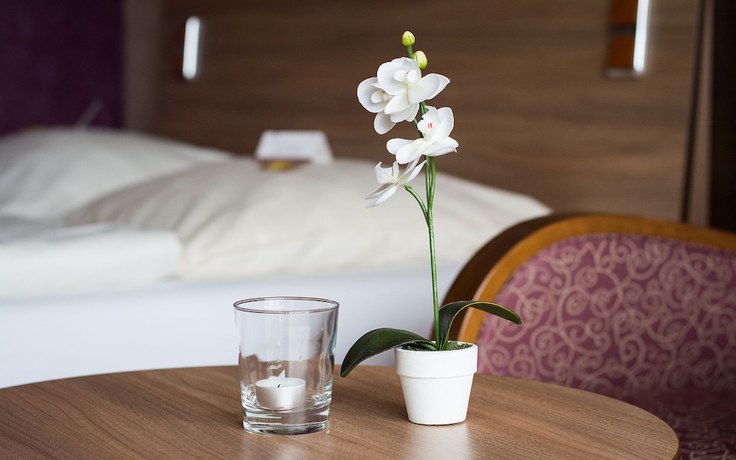 Imagen de la habitación del Hotel Seehotel Schwanenhof. Foto 8