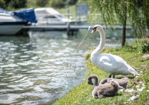 Imagen general del Hotel Seehotel Sternen. Foto 2