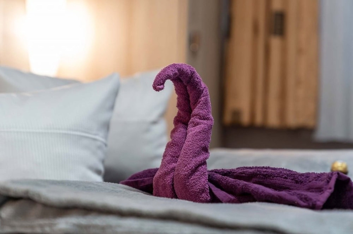 Imagen de la habitación del Hotel Seerose. Foto 17