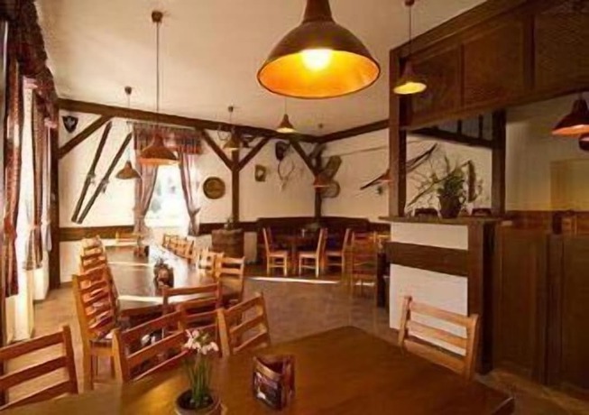 Imagen del bar/restaurante del Hotel Seifert, Nove Hamry. Foto 7