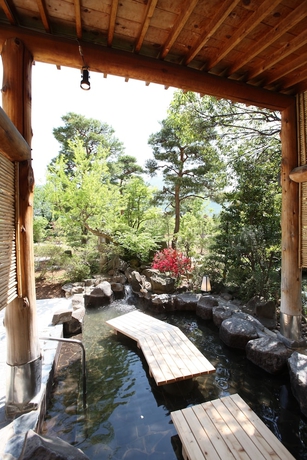 Imagen de los interiores del Hotel Seifuen. Foto 13