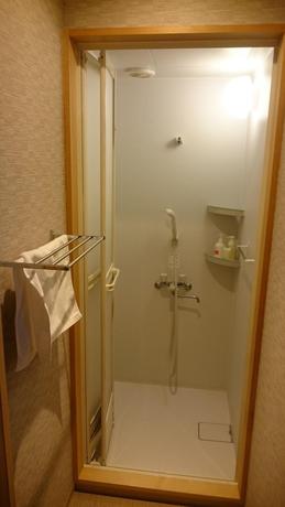 Imagen de la habitación del Hotel Seifuso, Awara. Foto 18