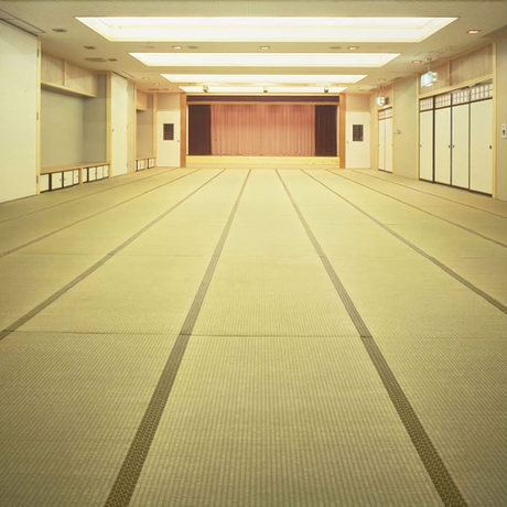 Imagen de los interiores del Hotel Seikoen. Foto 16