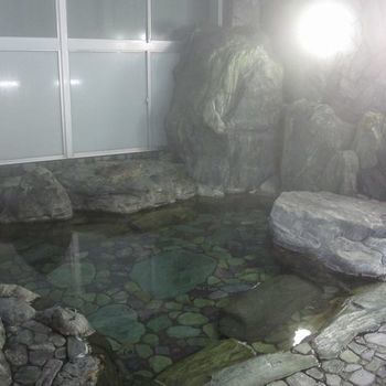 Imagen de la habitación del Hotel Seiryukaku. Foto 5