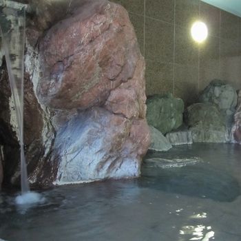 Imagen de la habitación del Hotel Seiryukaku. Foto 6