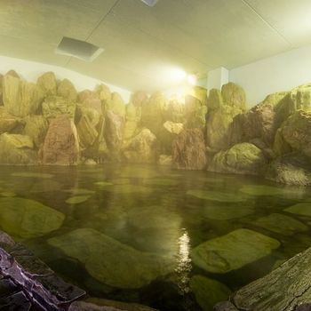 Imagen de los interiores del Hotel Seiryukaku. Foto 12