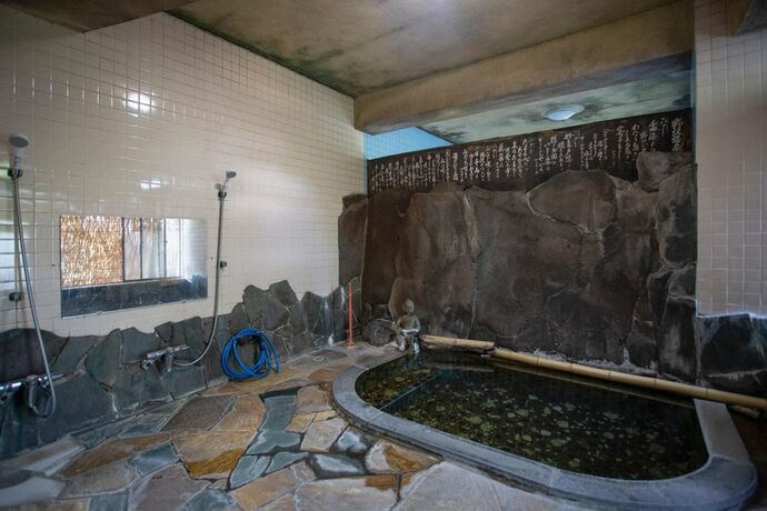 Imagen general del Hotel Seisenso. Foto 3