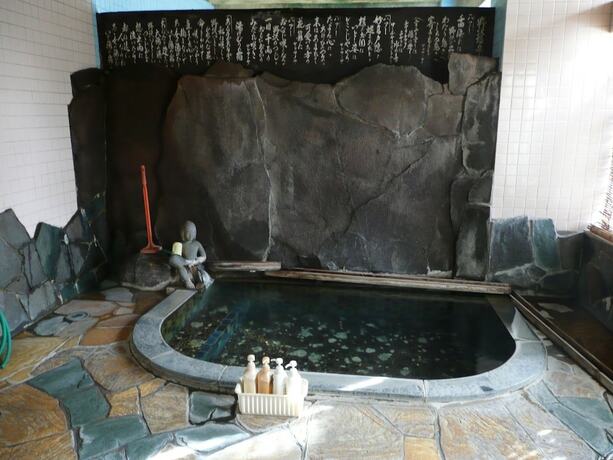 Imagen general del Hotel Seisenso. Foto 6