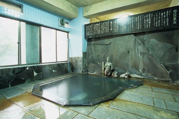 Imagen general del Hotel Seisenso. Foto 16