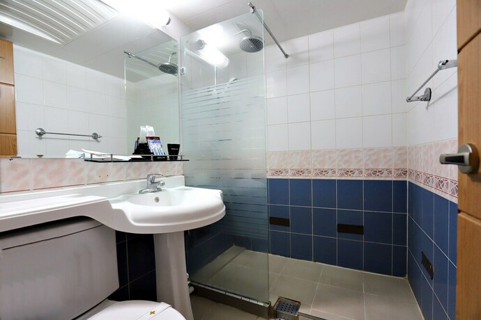 Imagen de la habitación del Hotel Sejong Spatel. Foto 8