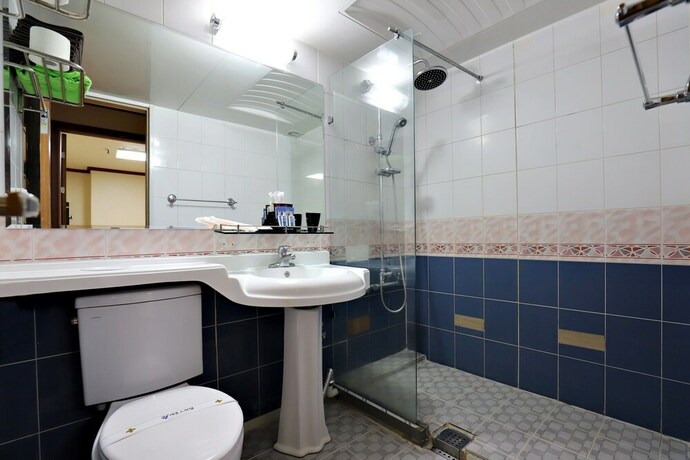 Imagen de la habitación del Hotel Sejong Spatel. Foto 10