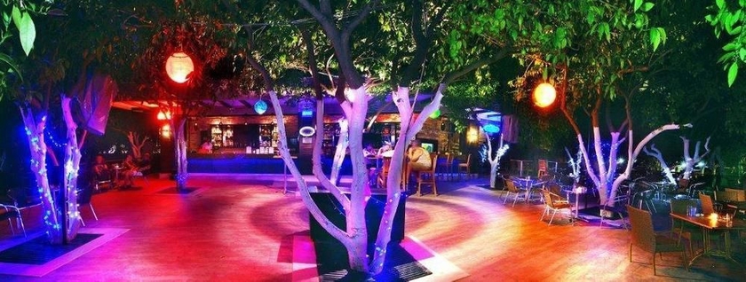 Imagen del bar/restaurante del Hotel Selcukhan. Foto 6